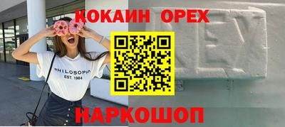 крисы Гусев