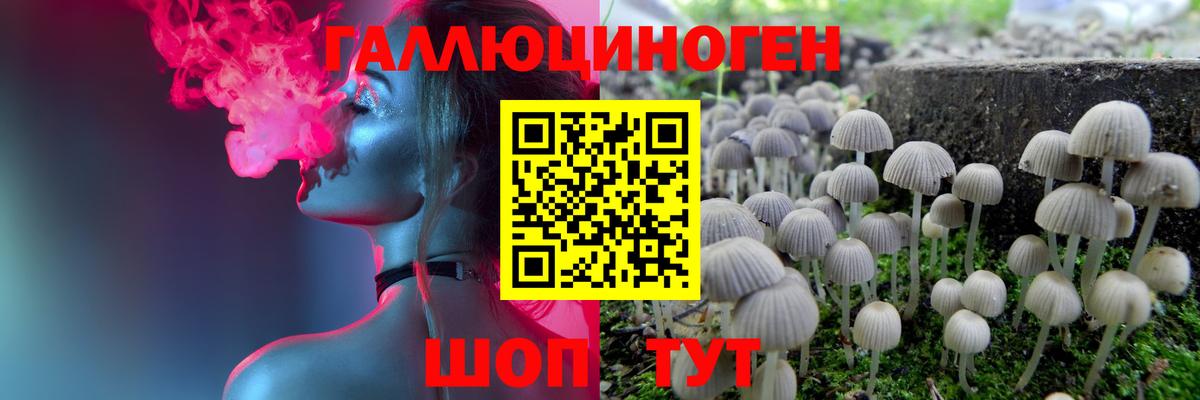 Галлюциногенные грибы мицелий Донской